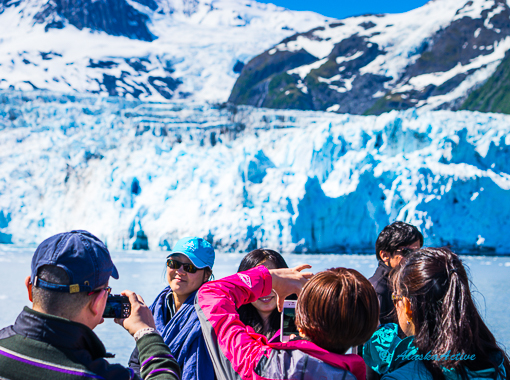 Kenai Fjords Glacier Cruise